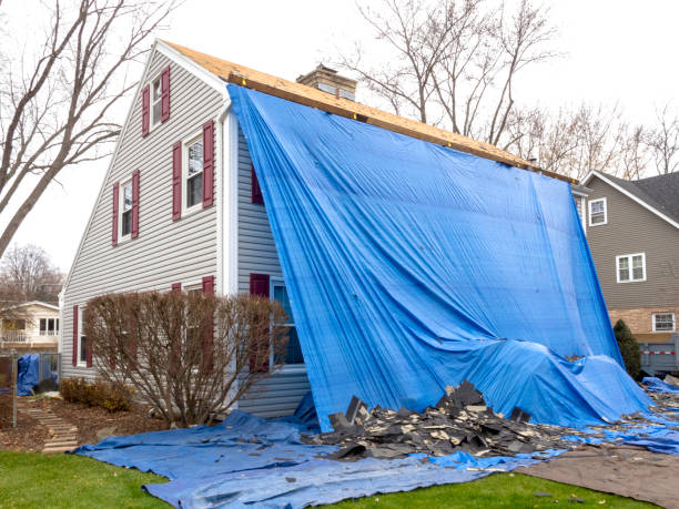 Best Construction Debris Removal  in Providence, KY
